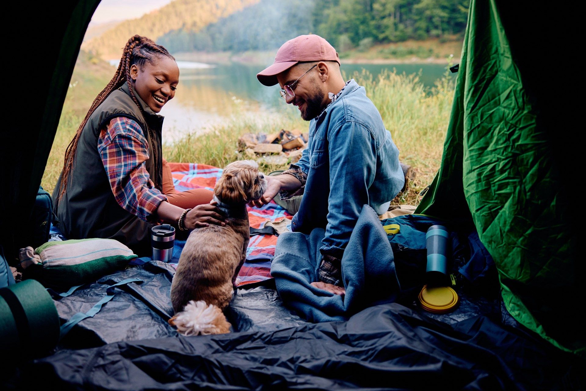 Travel with Pets: The Ultimate Guide to Adventuring Together