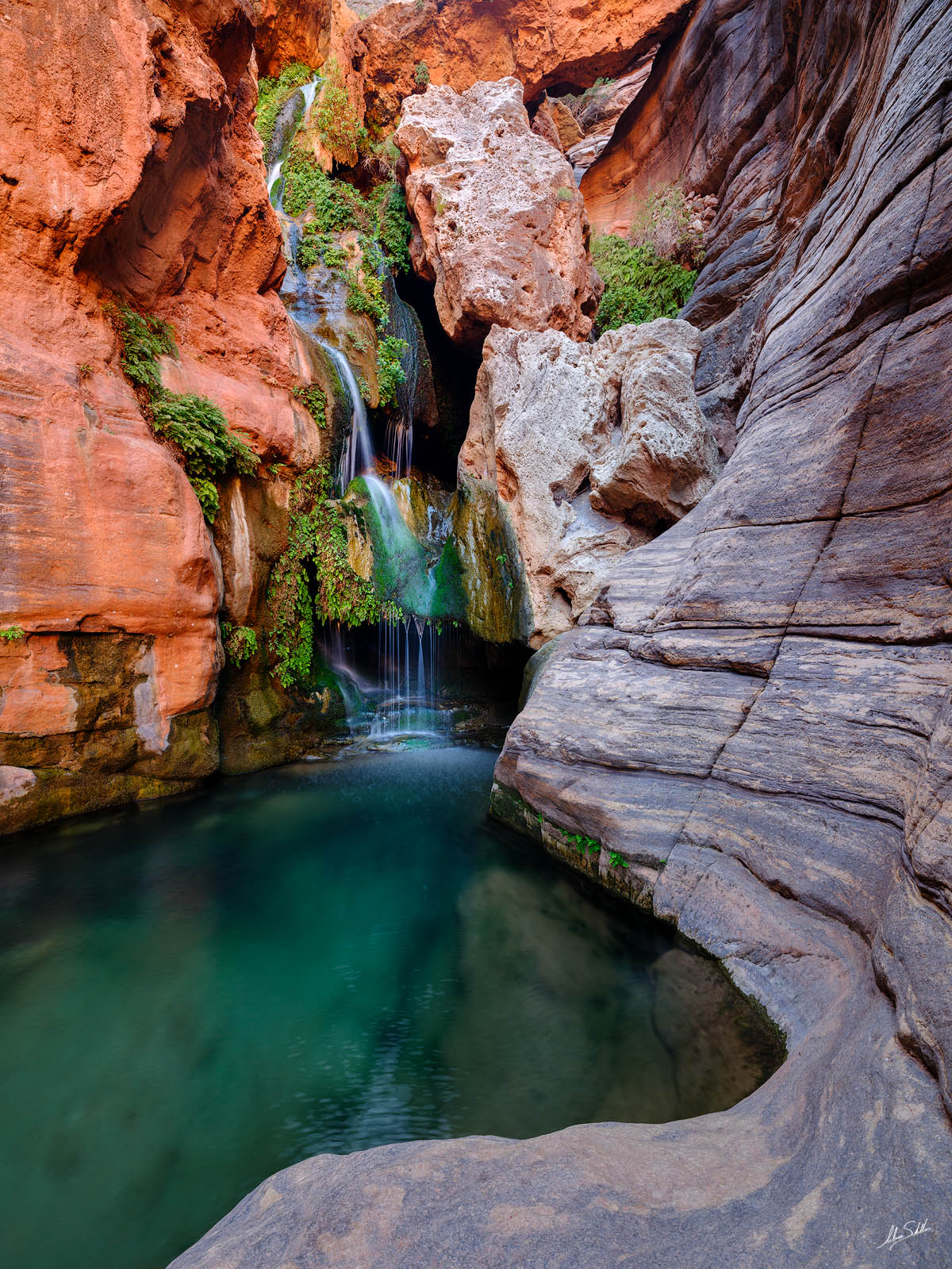 1 Day at Grand Canyon National Park