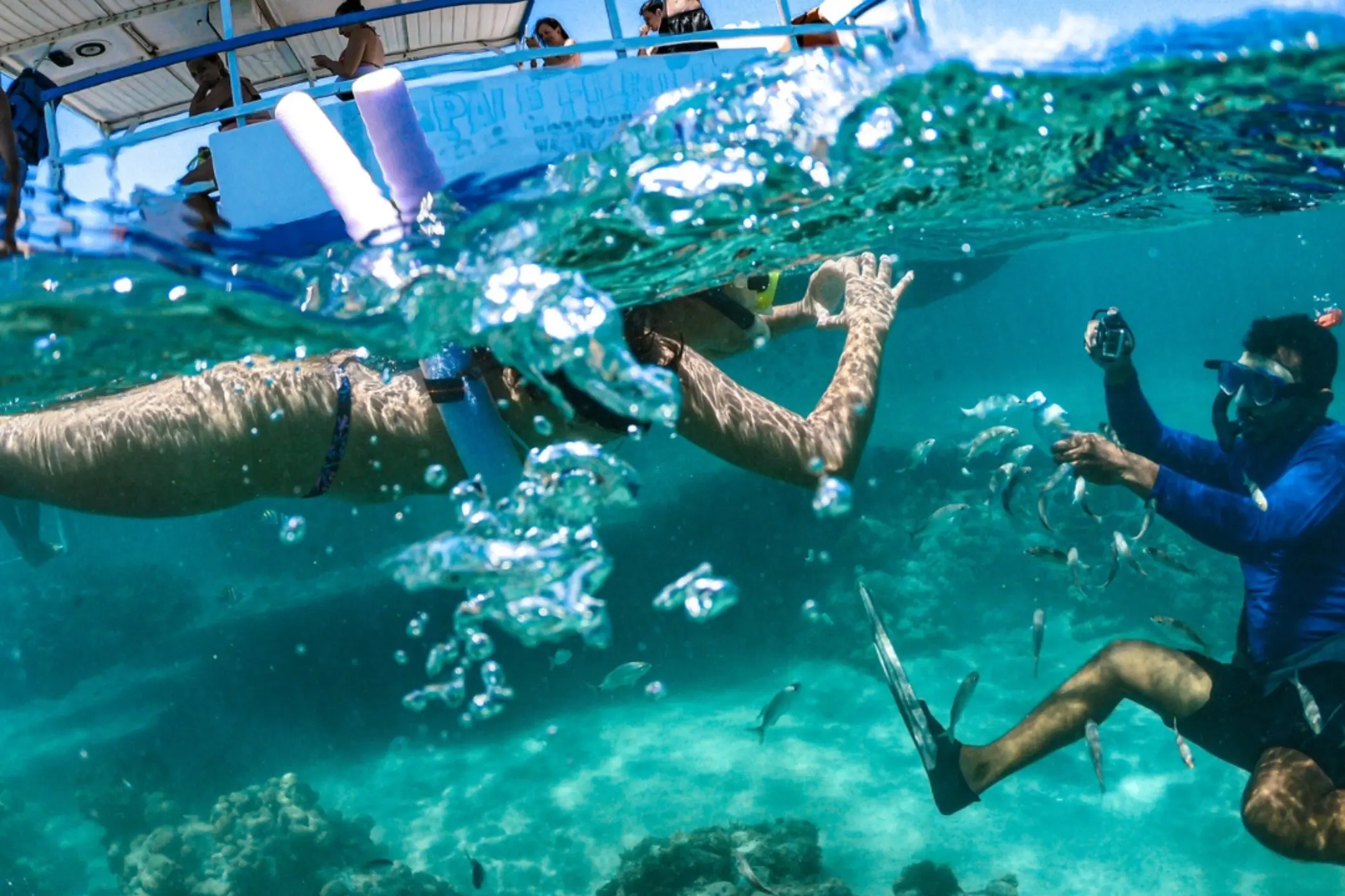 1 Week in Caye Caulker Belize: Ultimate Guide to Island Adventures