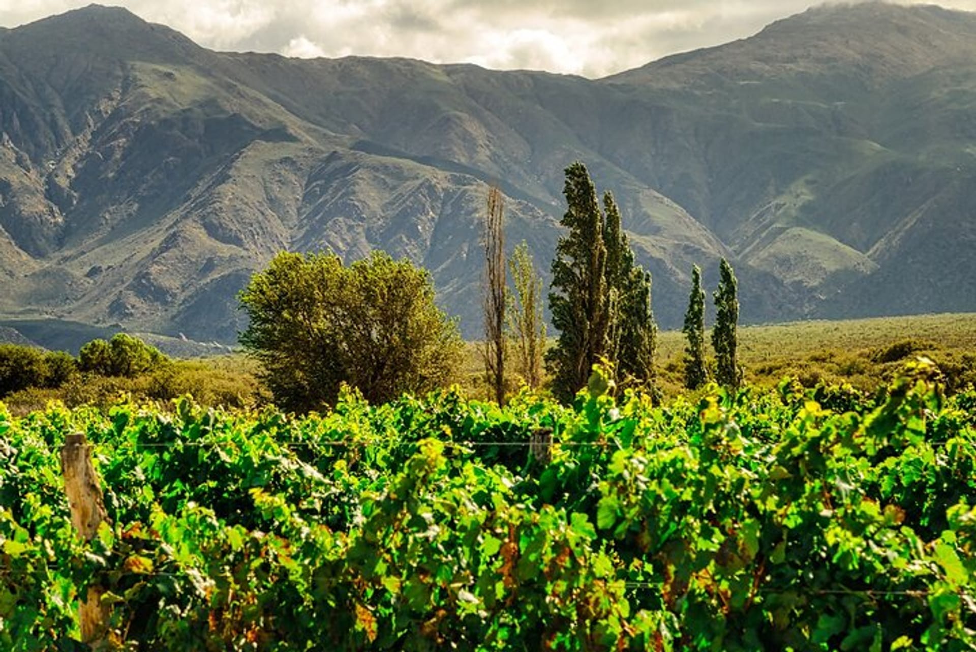 3 Days in Cafayate, Argentina: A Hidden Gem in the Heart of Argentina&#8217;s Wine Country
