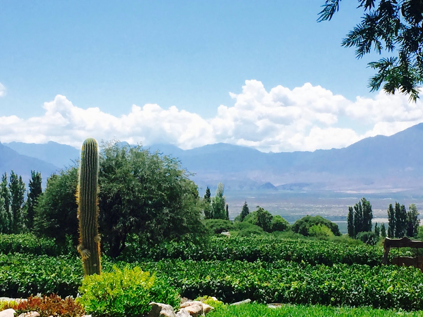 3 Days in Cafayate, Argentina: A Hidden Gem in the Heart of Argentina&#8217;s Wine Country