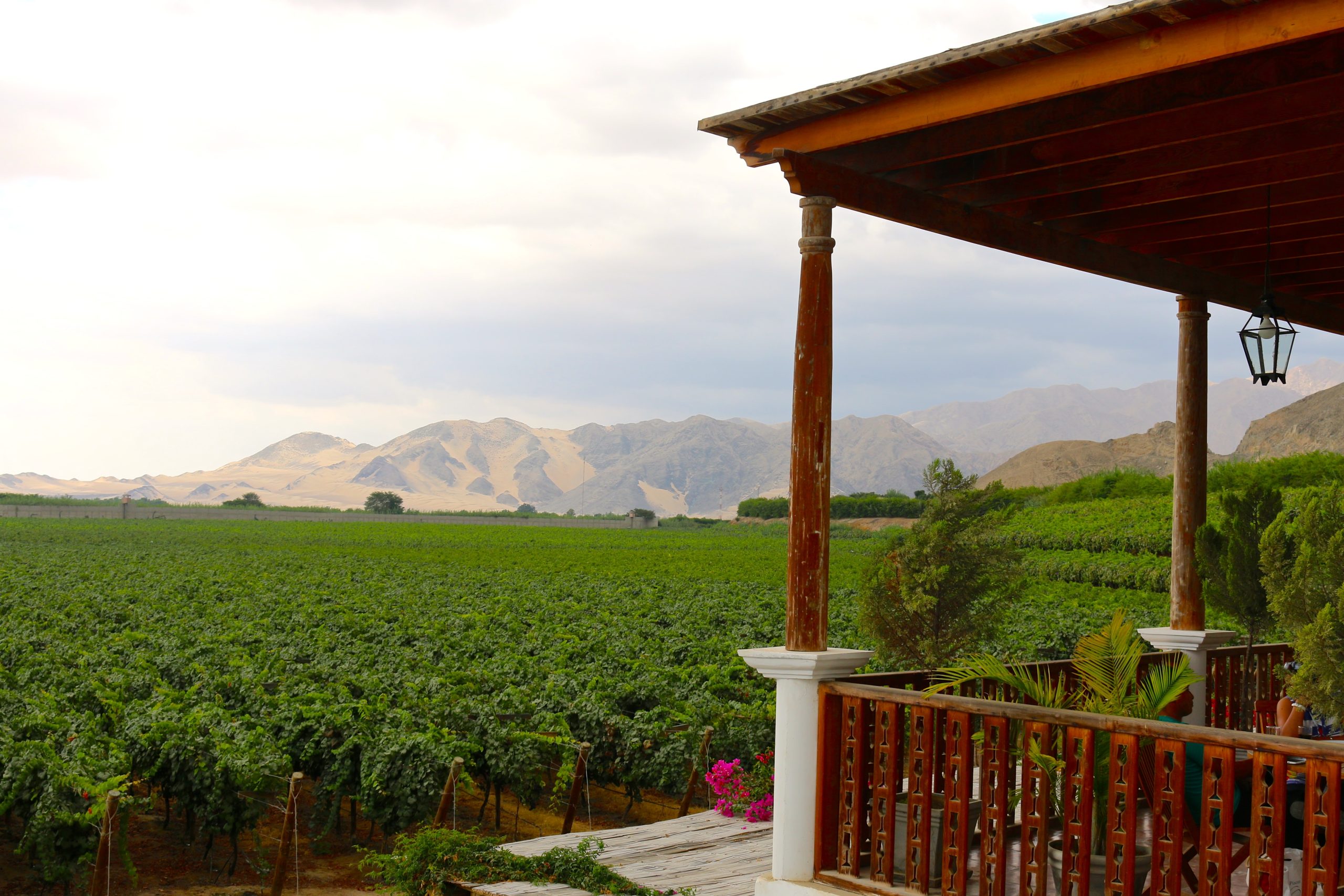 3 Days in Ica & Nazca, Peru: Your Ultimate Adventure Guide