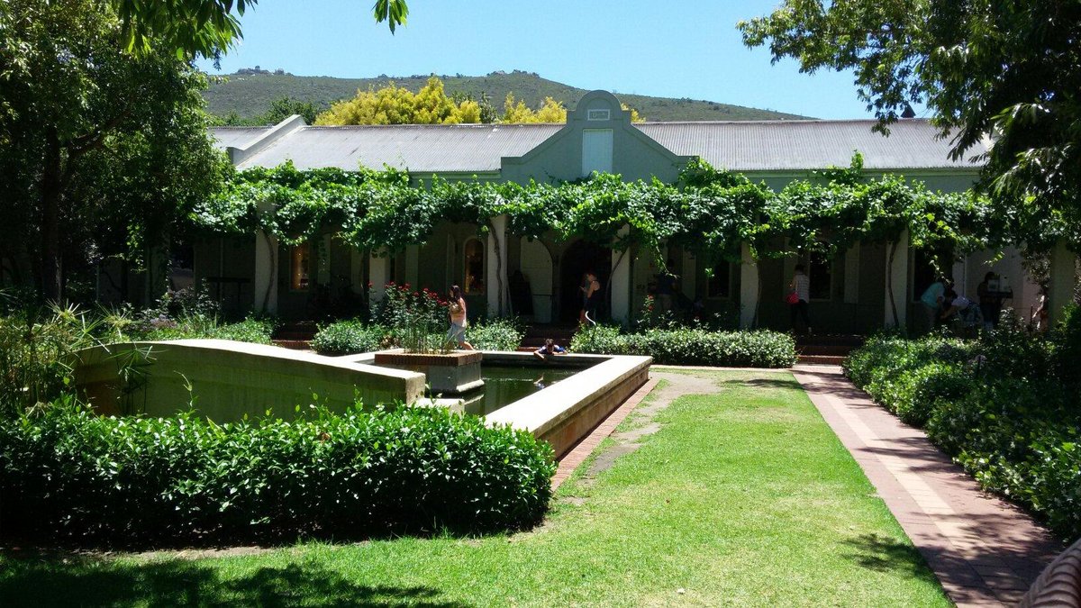 3 Days in South African Wine Country: An Unforgettable Adventure
