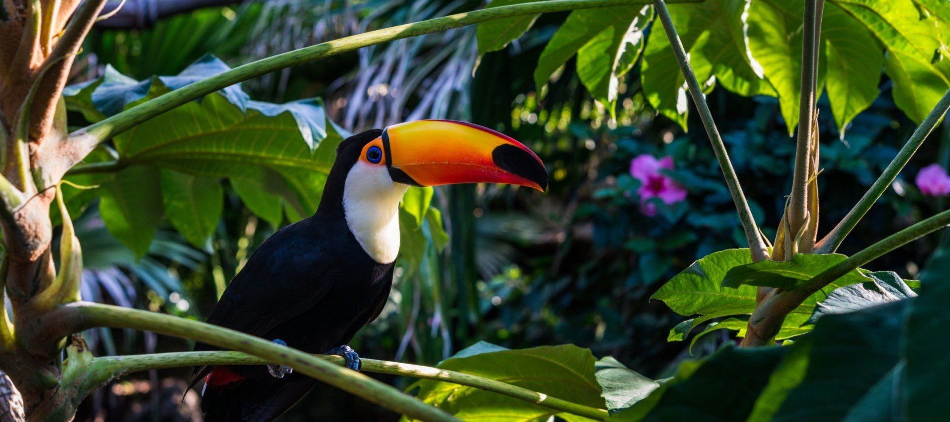 3 Days in the Amazon Jungle – The Ultimate Adventure Guide
