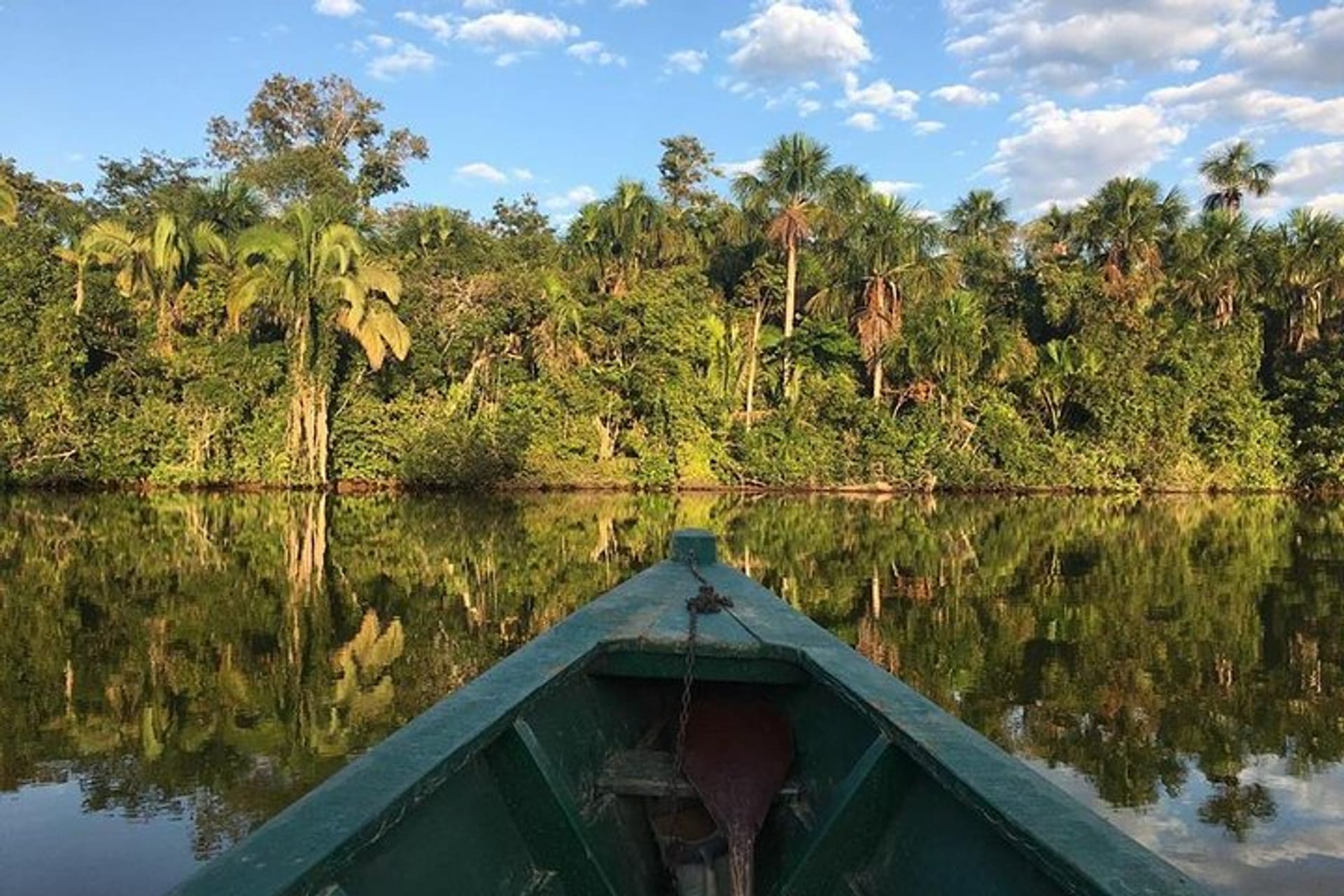 3 Days in the Amazon Jungle – The Ultimate Adventure Guide