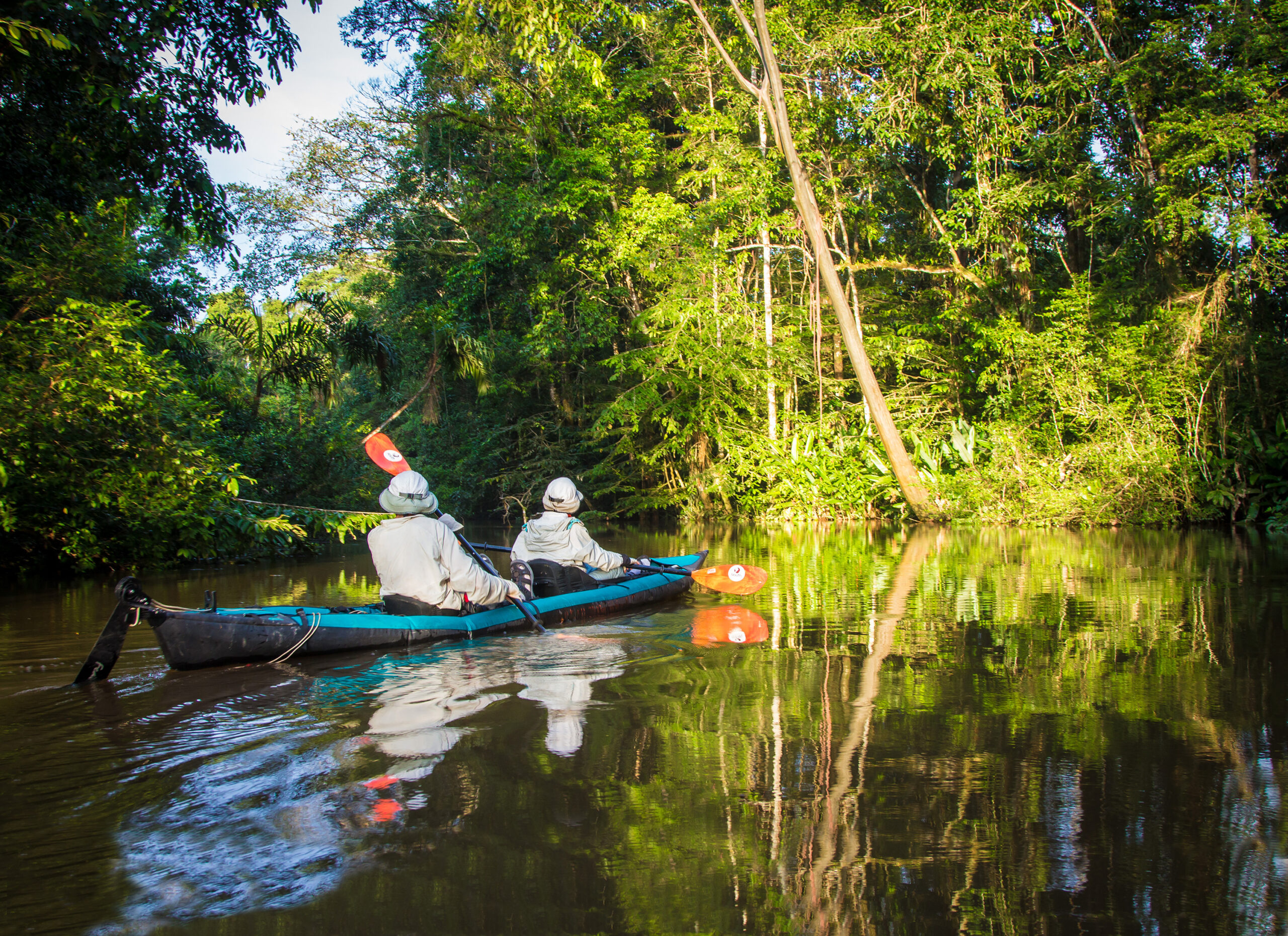 3 Days in the Amazon Jungle – The Ultimate Adventure Guide