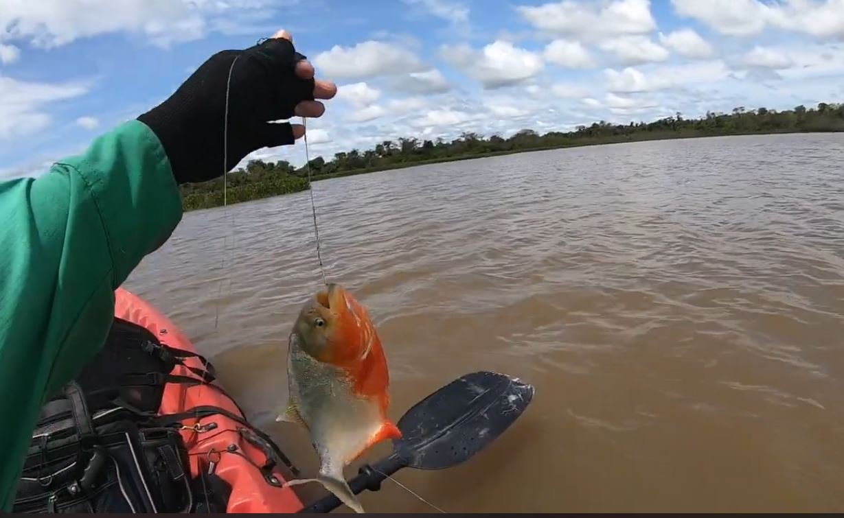 3 Days in the Amazon Jungle – The Ultimate Adventure Guide