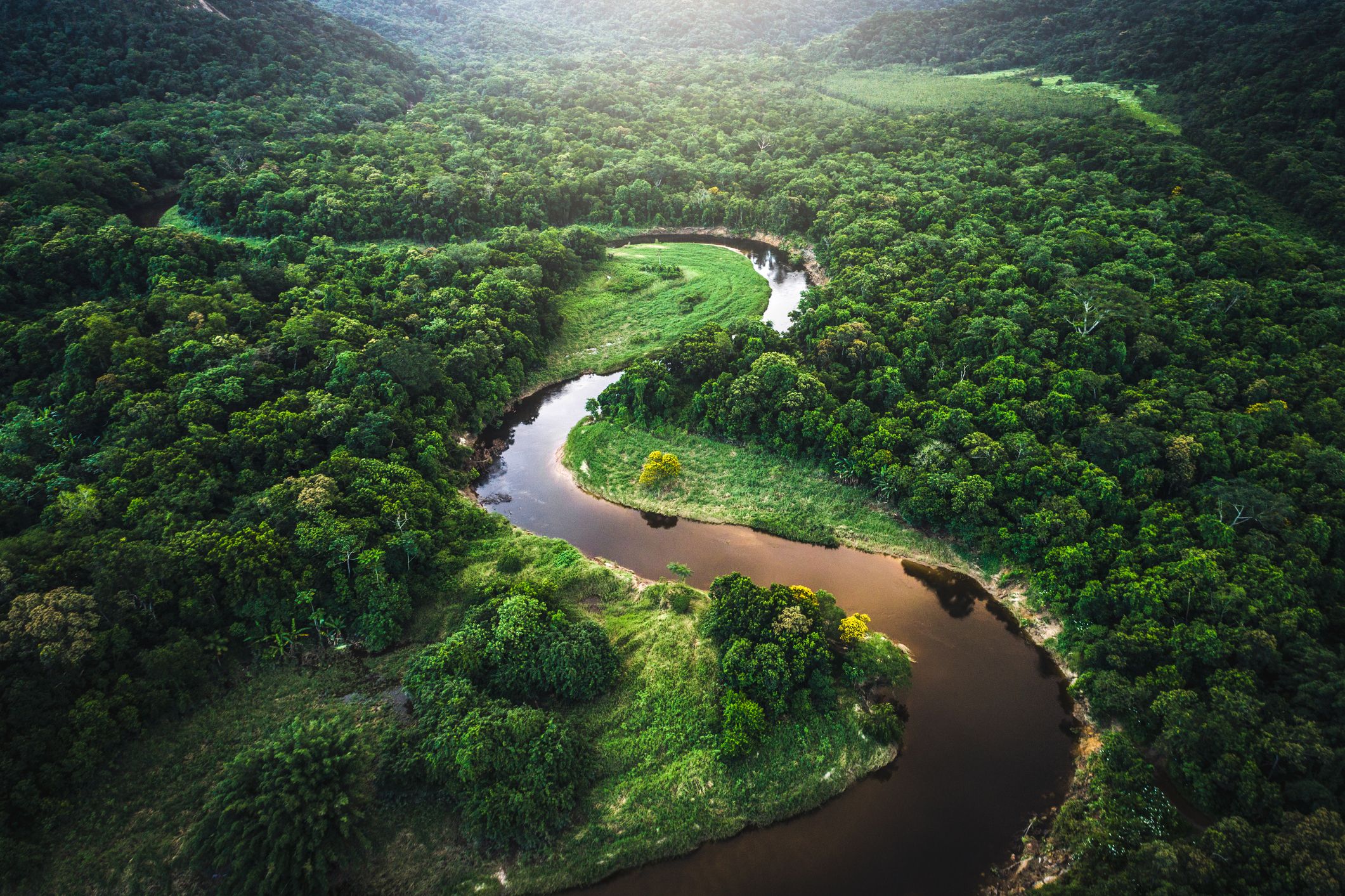 3 Days in the Amazon Jungle – The Ultimate Adventure Guide