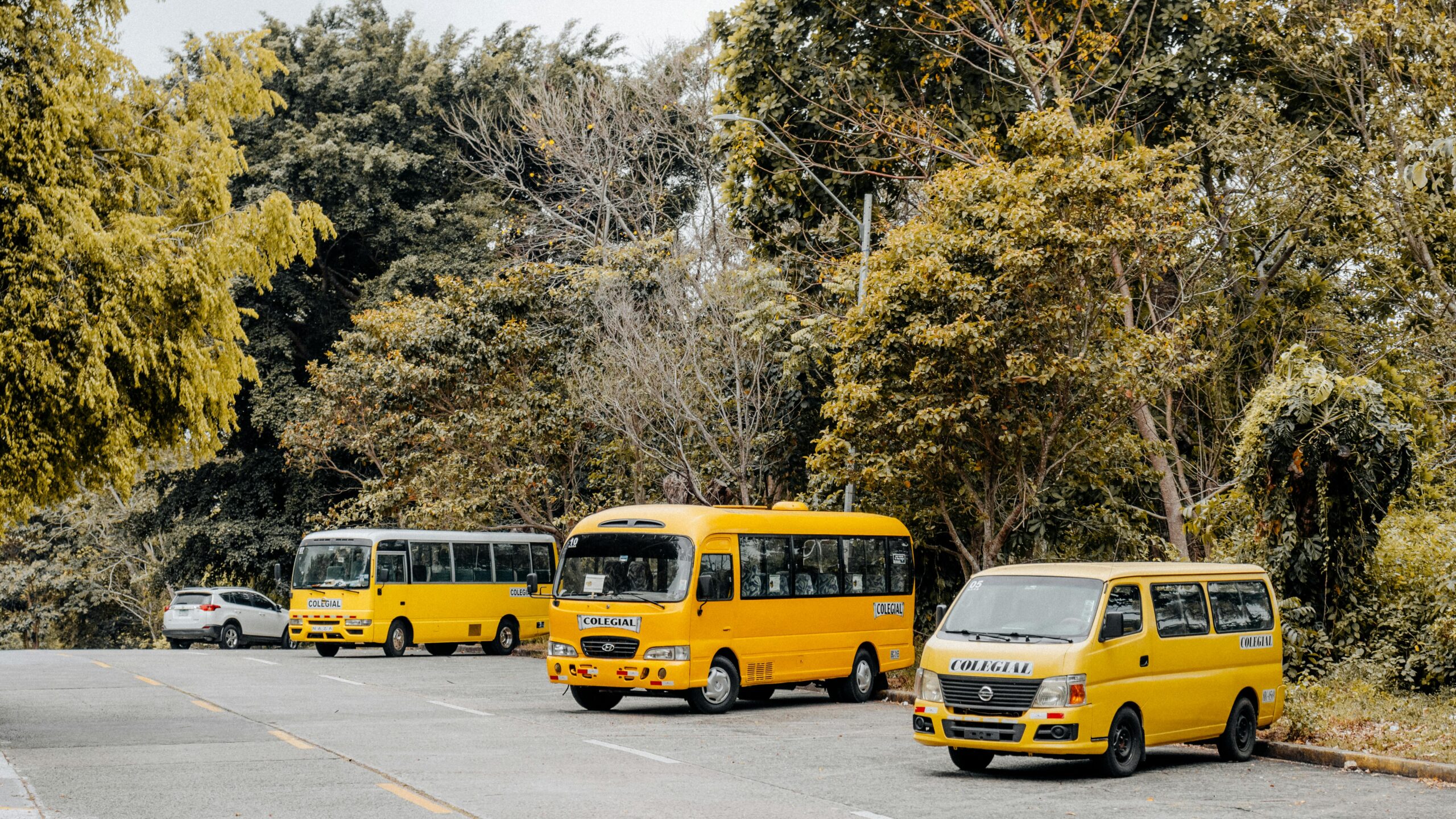 5 Days in Panama City: The Ultimate Gen Z Adventure Guide