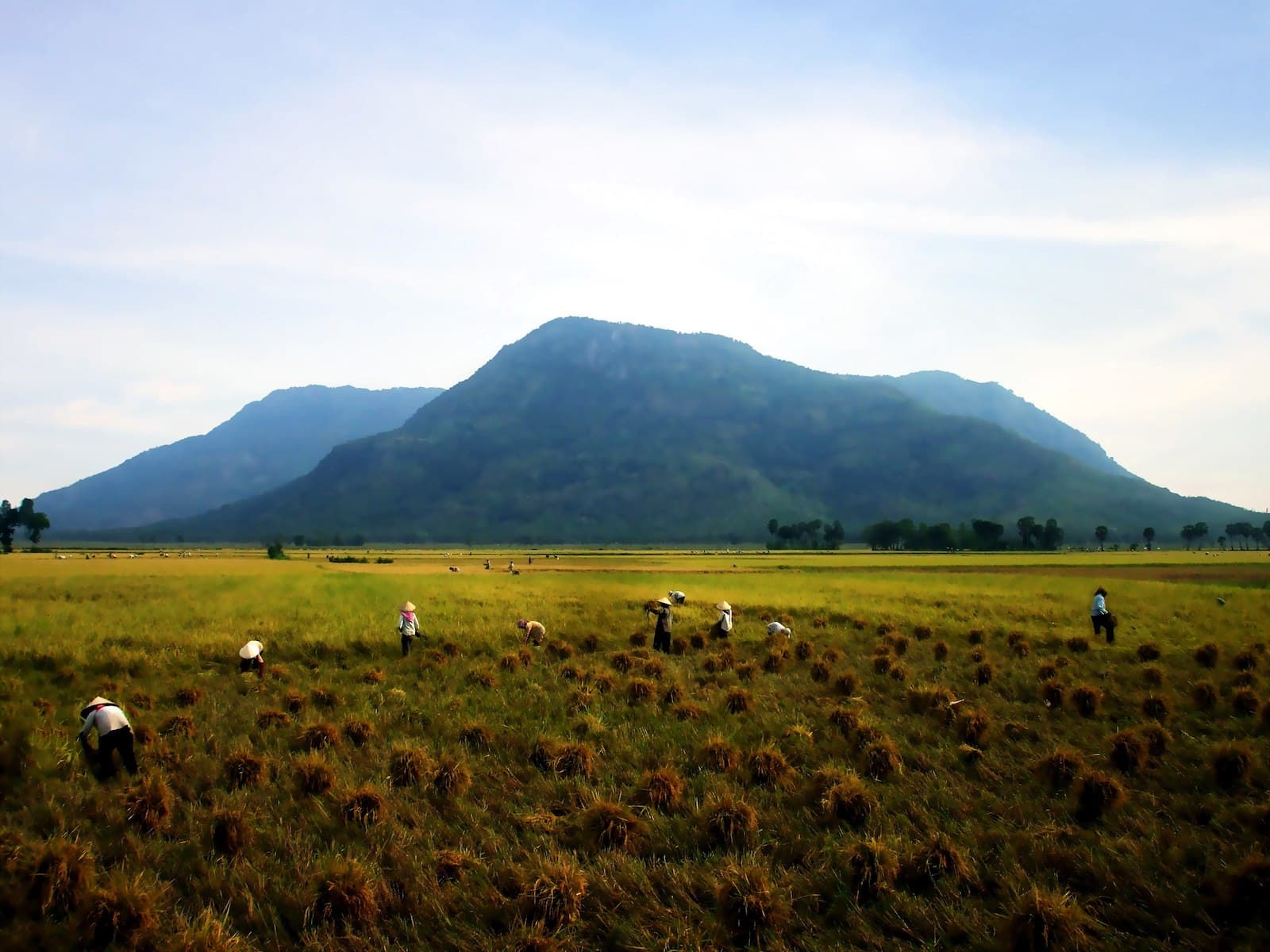 An Giang Province Travel: Why This Hidden Gem Should Be On Your Bucket List