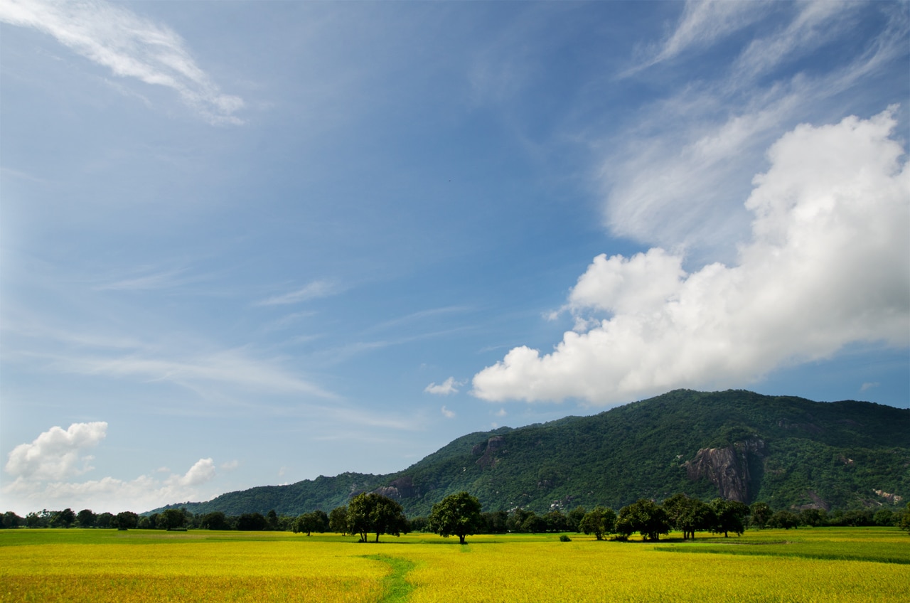 An Giang Province Travel: Why This Hidden Gem Should Be On Your Bucket List