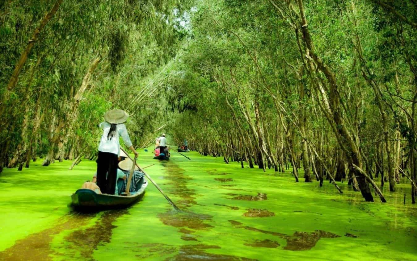 An Giang Province Travel: Why This Hidden Gem Should Be On Your Bucket List