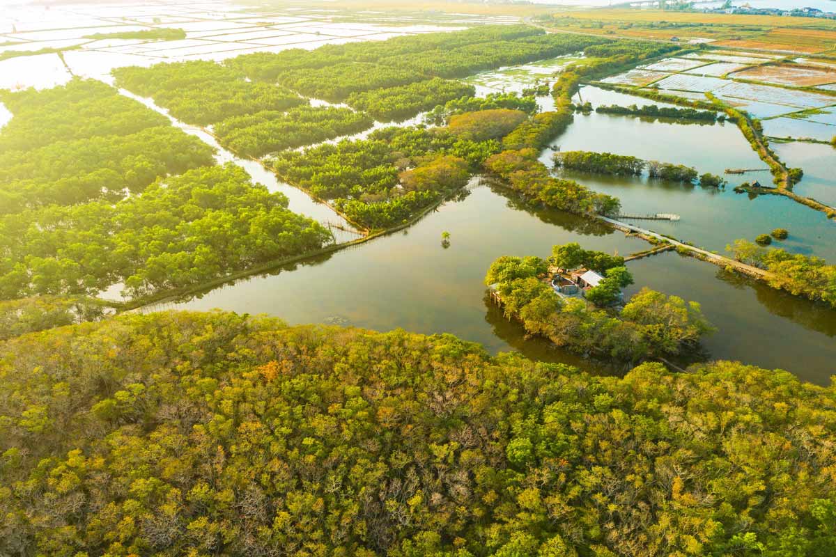 Ca Mau Province Travel – The Ultimate Gen Z Adventure in Vietnam’s Southernmost Land