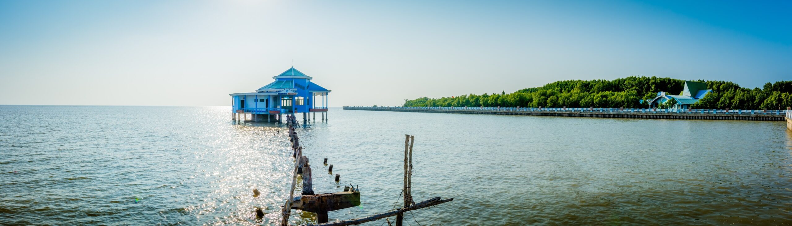 Ca Mau Province Travel – The Ultimate Gen Z Adventure in Vietnam’s Southernmost Land