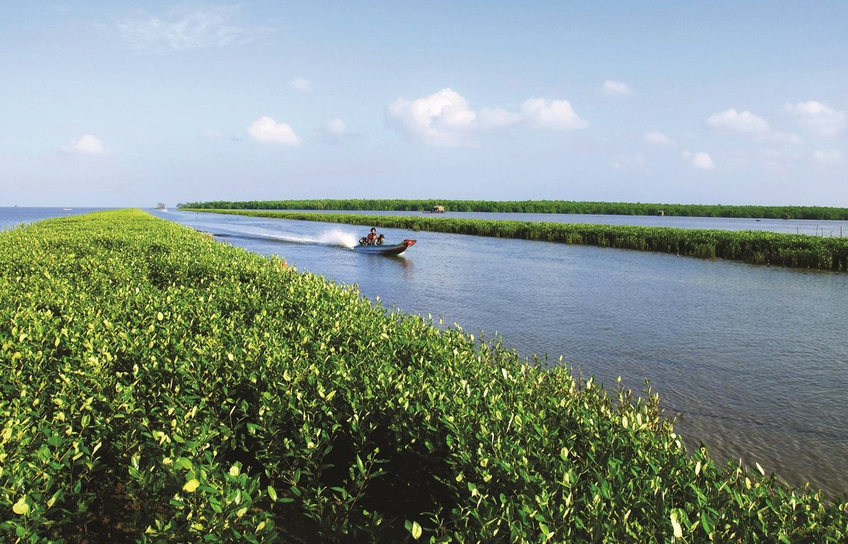 Ca Mau Province Travel – The Ultimate Gen Z Adventure in Vietnam’s Southernmost Land