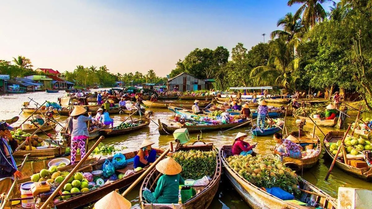 Ca Mau Province Travel – The Ultimate Gen Z Adventure in Vietnam’s Southernmost Land