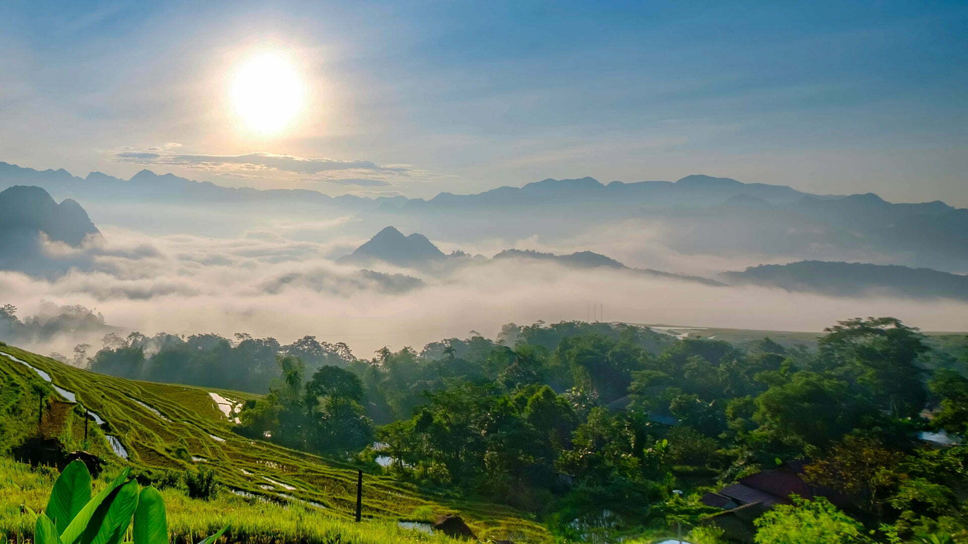 Dak Lak Province Travel – The Ultimate Guide to Vietnam’s Coffee Kingdom