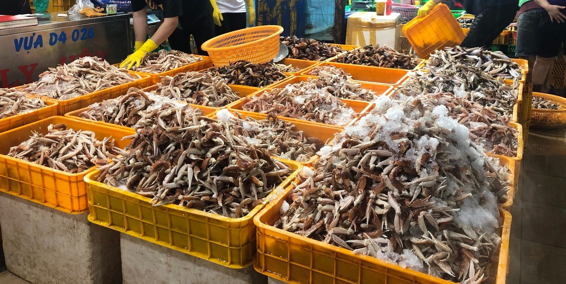 Economical Travel in Lien Chieu District, Da Nang: The Ultimate Guide