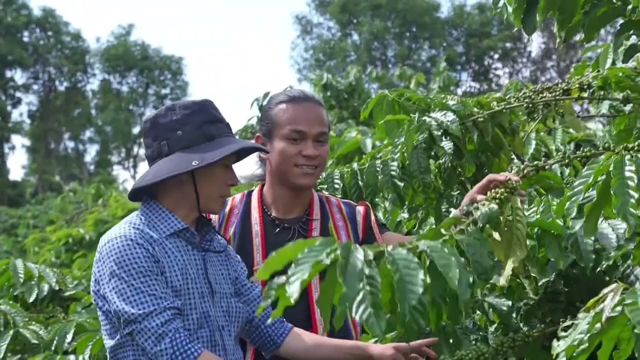 Gia Lai Province Travel: The Hidden Gem Of Vietnam’s Central Highlands