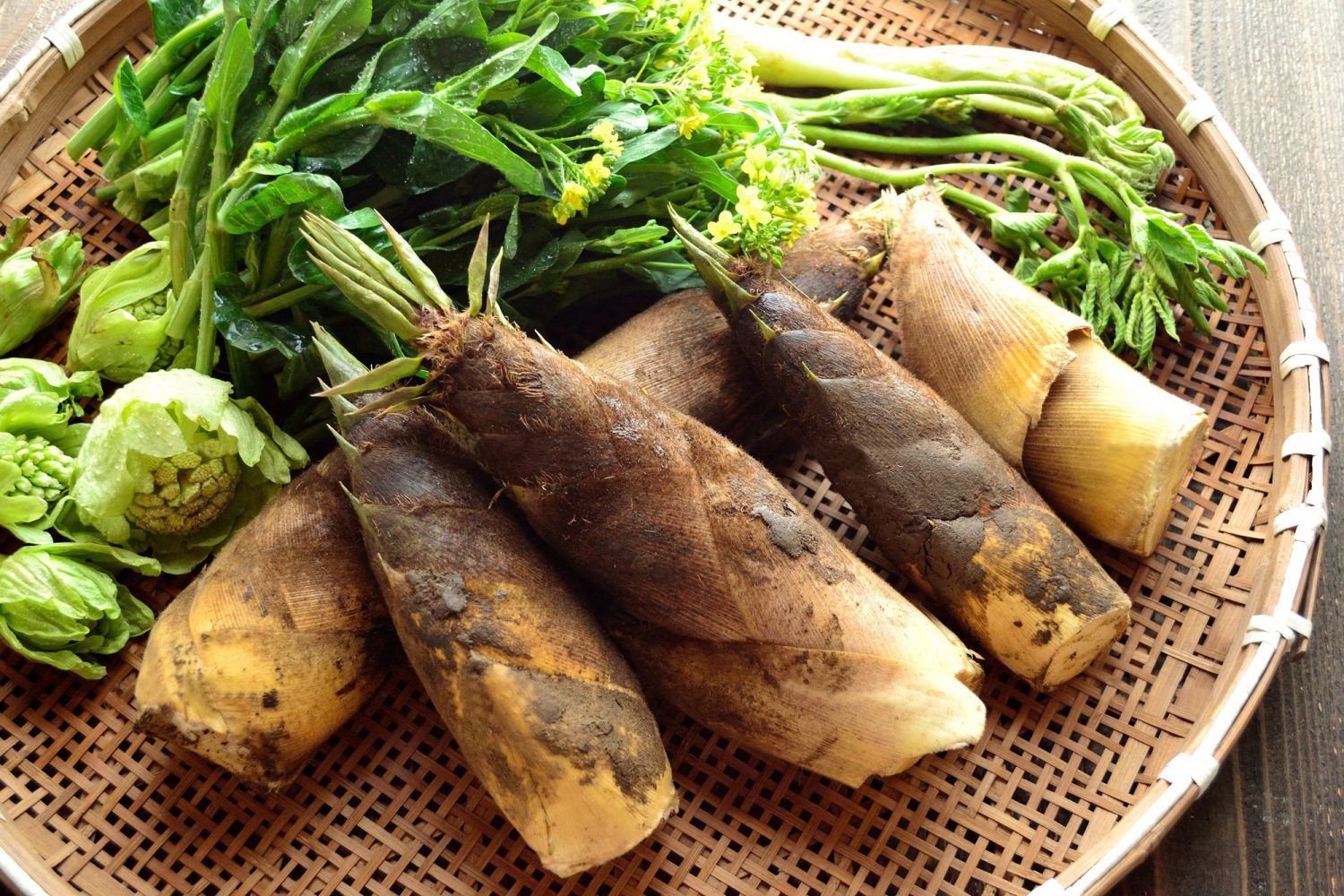 Lai Chau Province Travel: Unlocking Vietnam’s Hidden Northern Gem