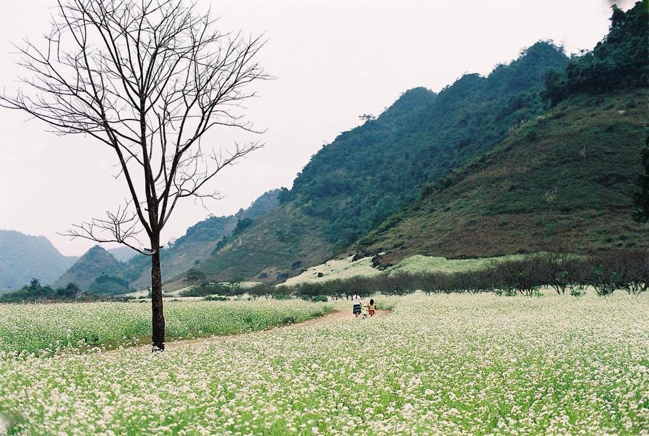 Lai Chau Province Travel: Unlocking Vietnam’s Hidden Northern Gem