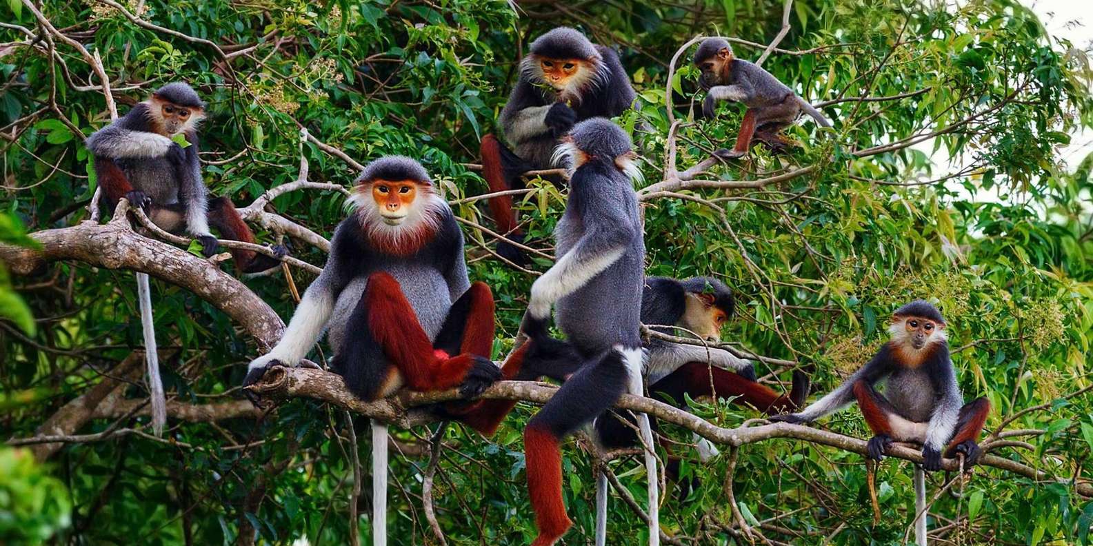 Ninh Binh Province Travel – A Hidden Gem You Must Explore