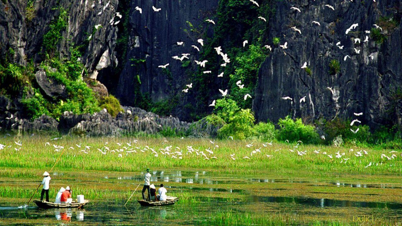 Ninh Binh Province Travel – A Hidden Gem You Must Explore