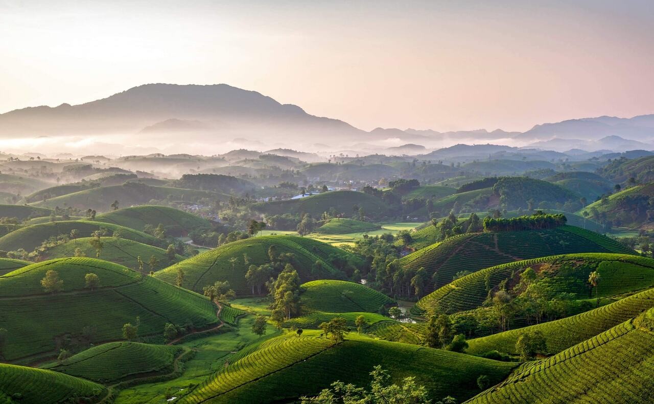 Phu Tho Province Travel – A Hidden Gem You Must Explore in Vietnam