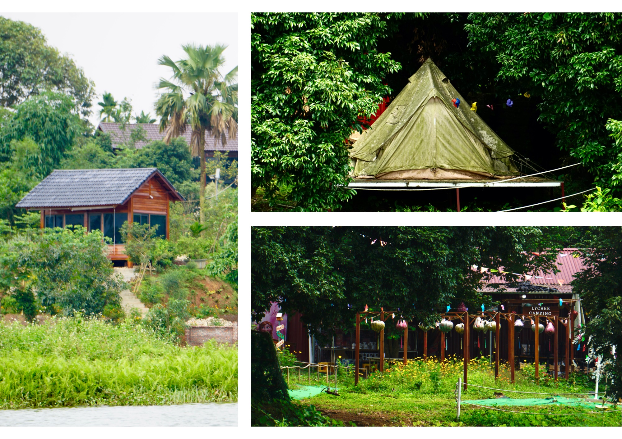 Phu Tho Province Travel – A Hidden Gem You Must Explore in Vietnam