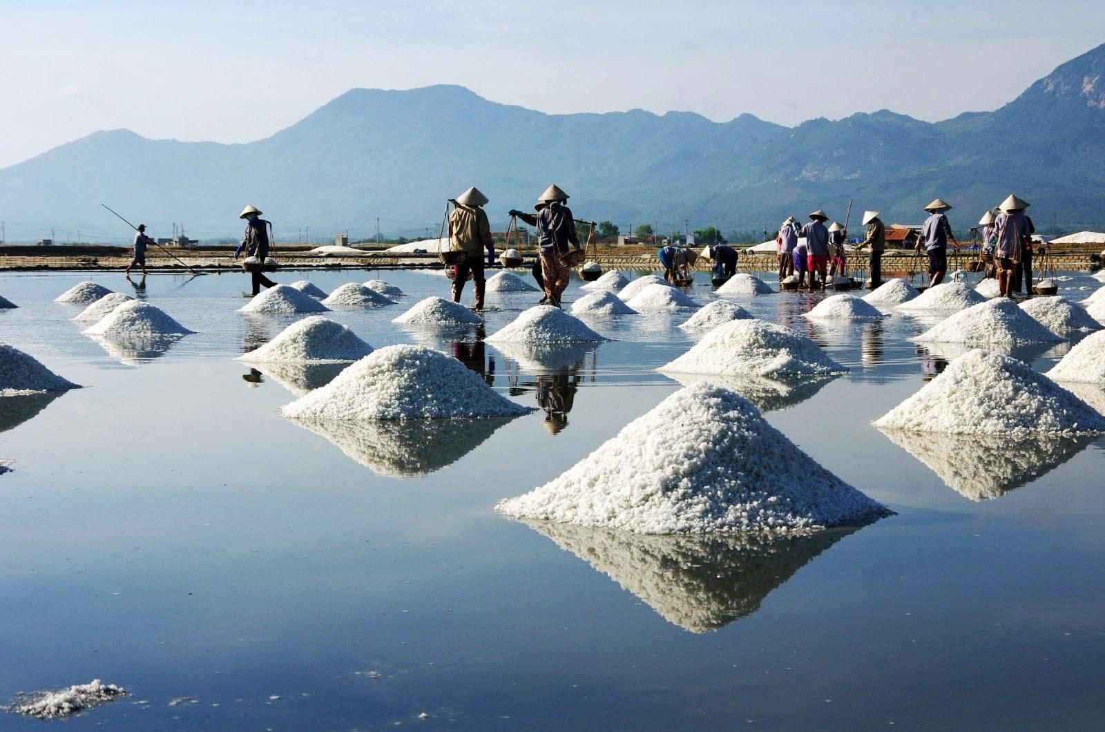 Quang Ngai Province Travel – Your Next Underrated Gem in Central Vietnam