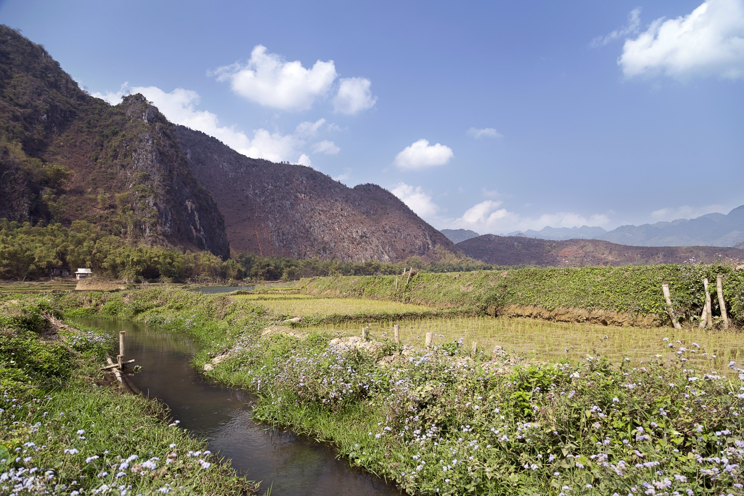 Son La Province Travel – Discover Vietnam’s Hidden Gem in the Northwest