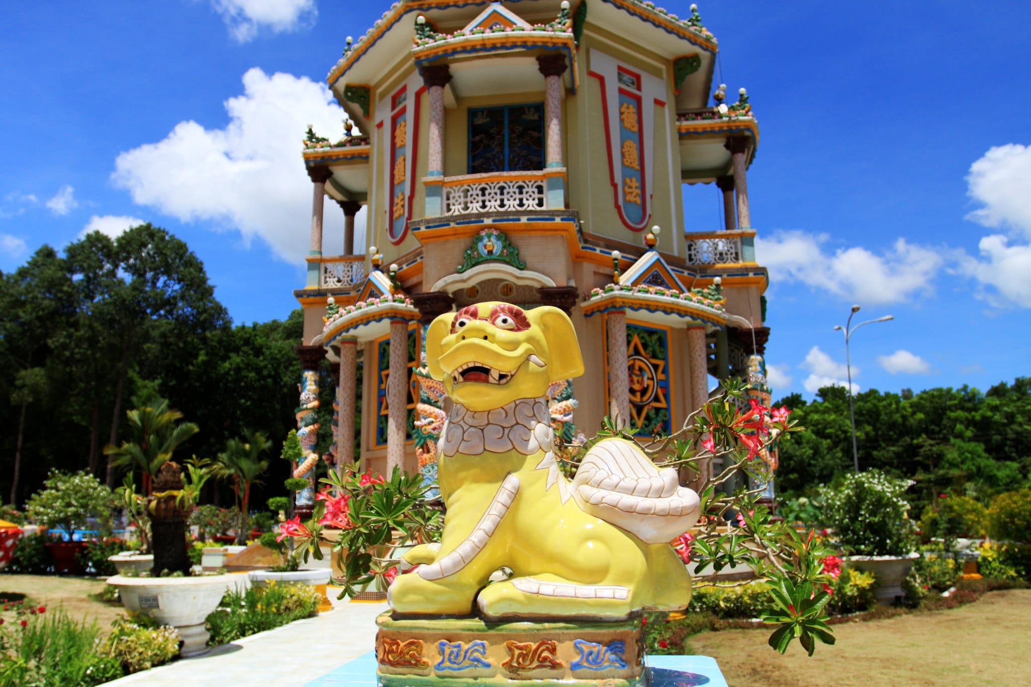 Tay Ninh Province Travel – Your Ultimate GenZ Adventure Guide