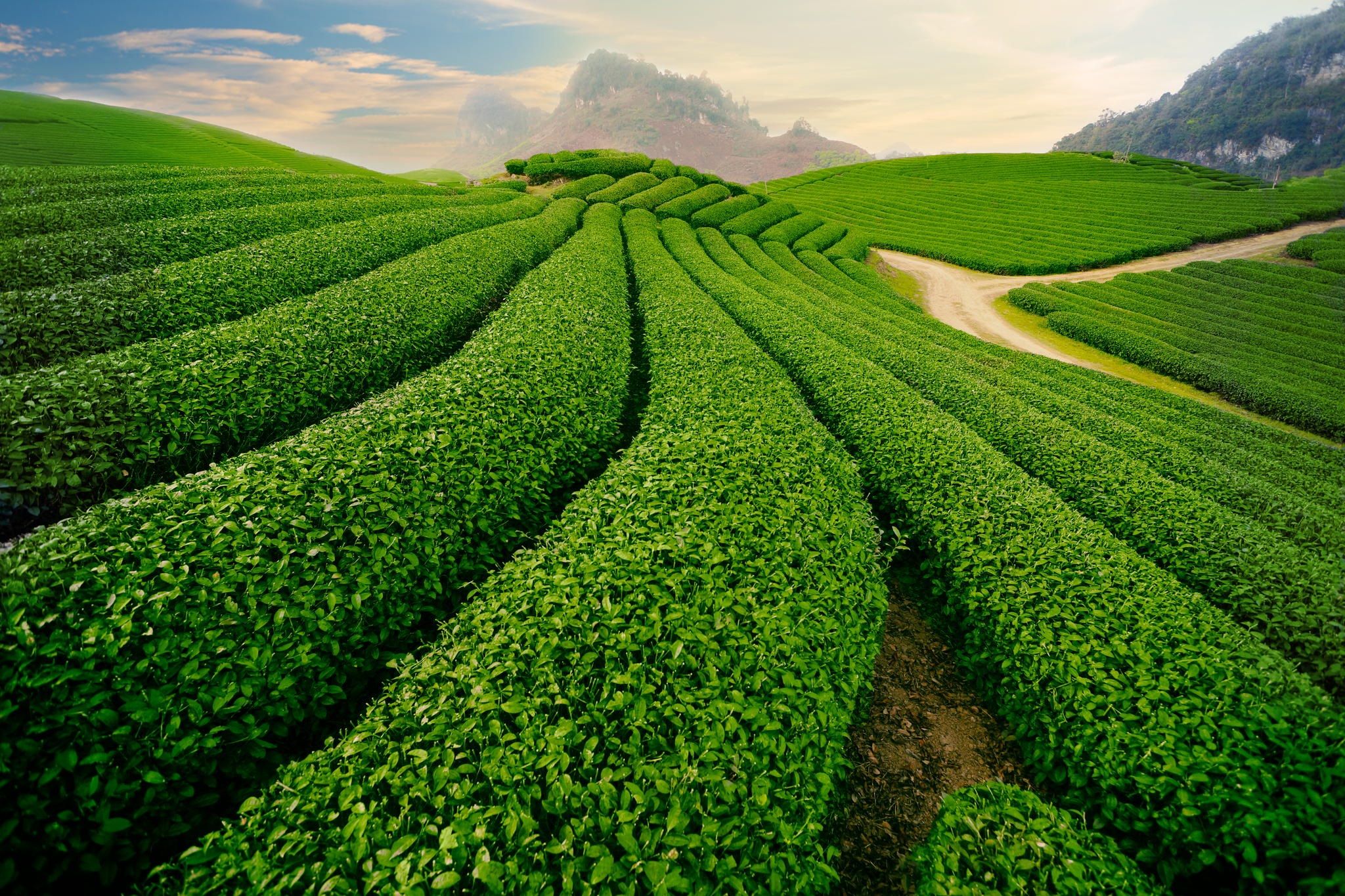 Traveling in Thai Nguyen Province: Exploring the Hidden Gems