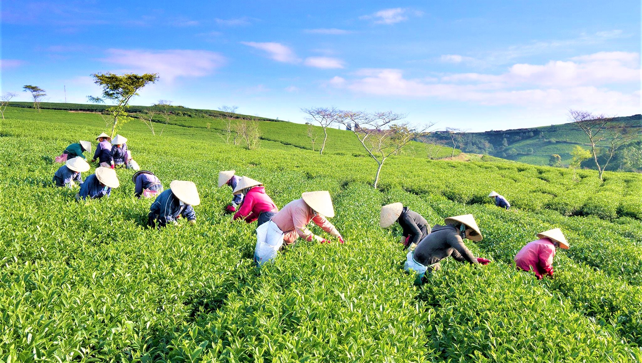 Traveling in Thai Nguyen Province: Exploring the Hidden Gems