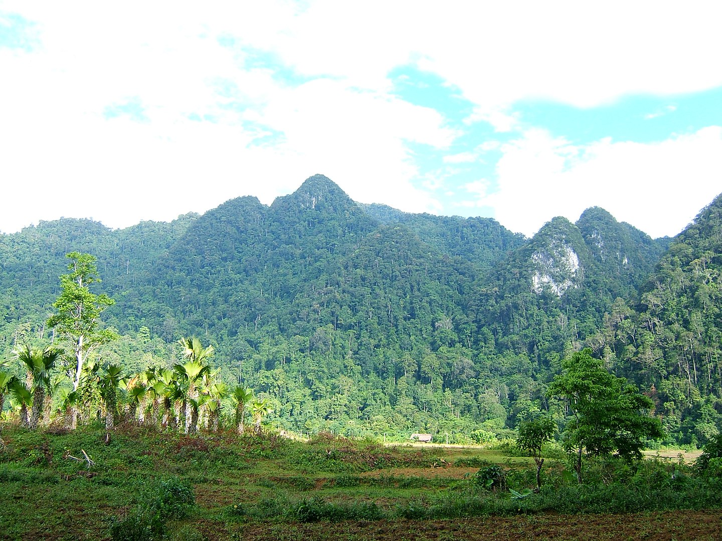 Traveling in Thai Nguyen Province: Exploring the Hidden Gems