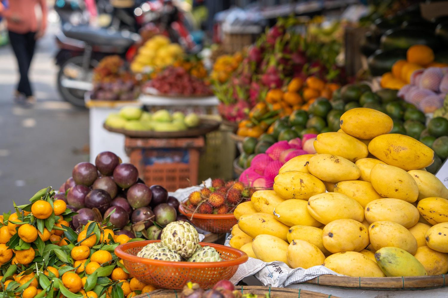 Vinh Long Province Travel – The Gen Z Guide to Exploring Vietnam’s Hidden Gem